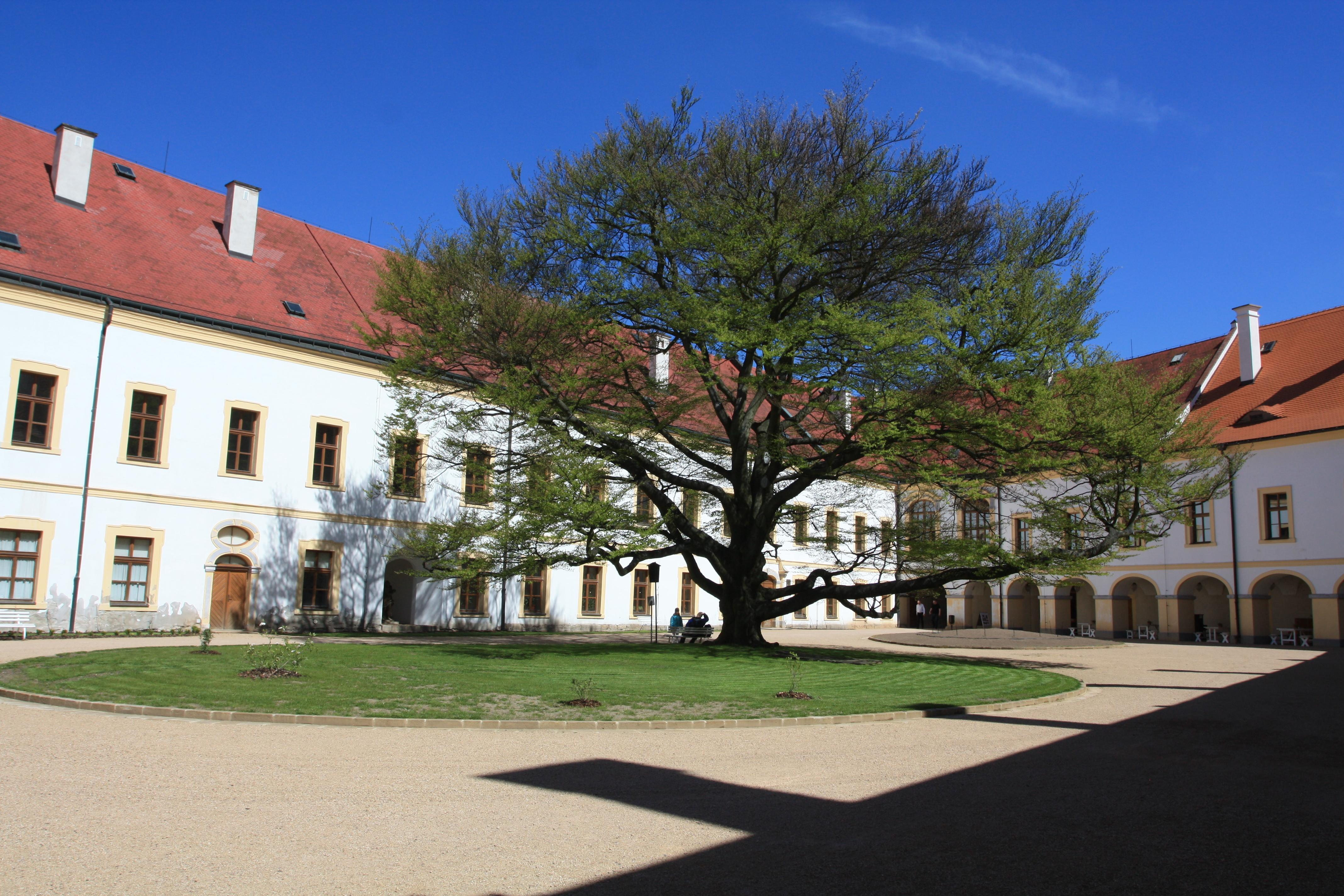 Schloss Děčín