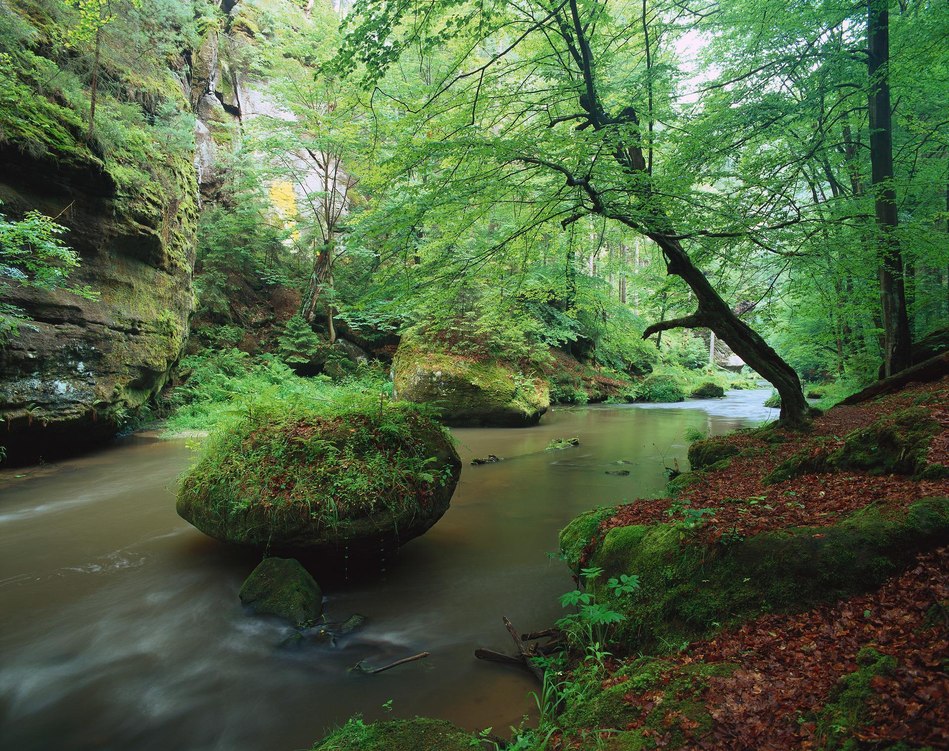 Kamnitzklamm, V. Sojka