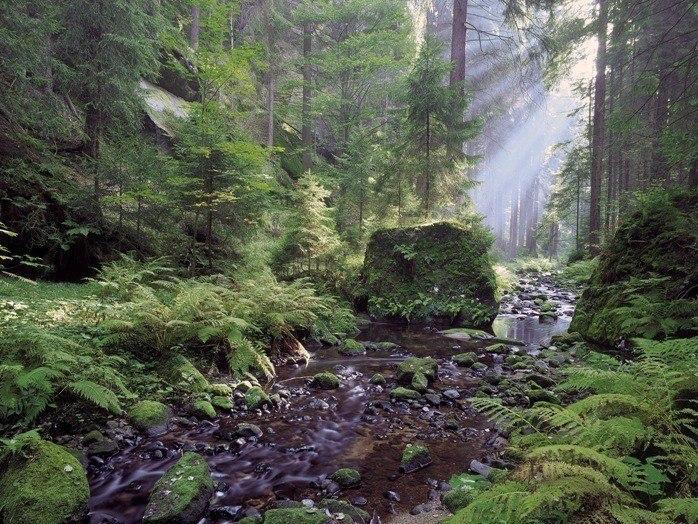 Kirnitzschtal - Foto Václav Sojka