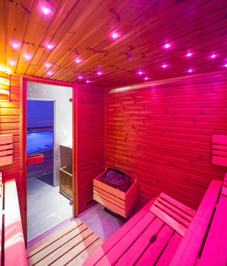 Wellness Hotel Ostrov - Sauna