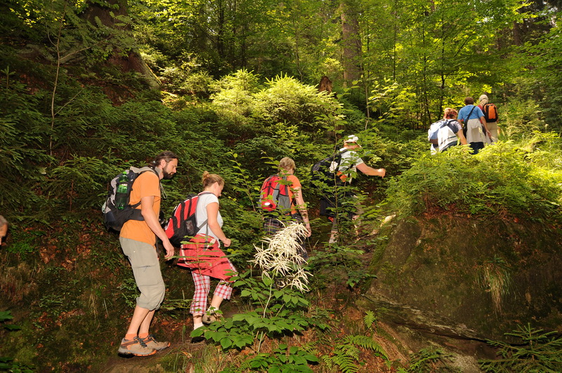 Wanderungen zu den Felsenburgen des Elbsandsteingebirges