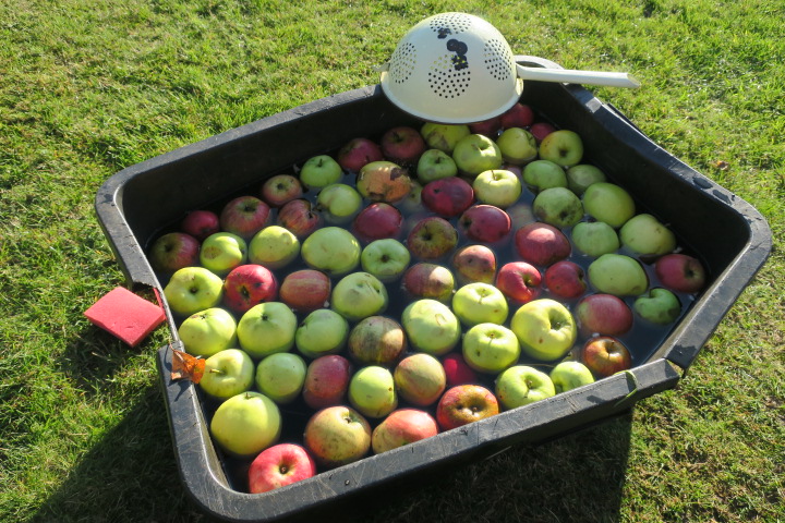 BBCidre aus der Böhmischen Schweiz