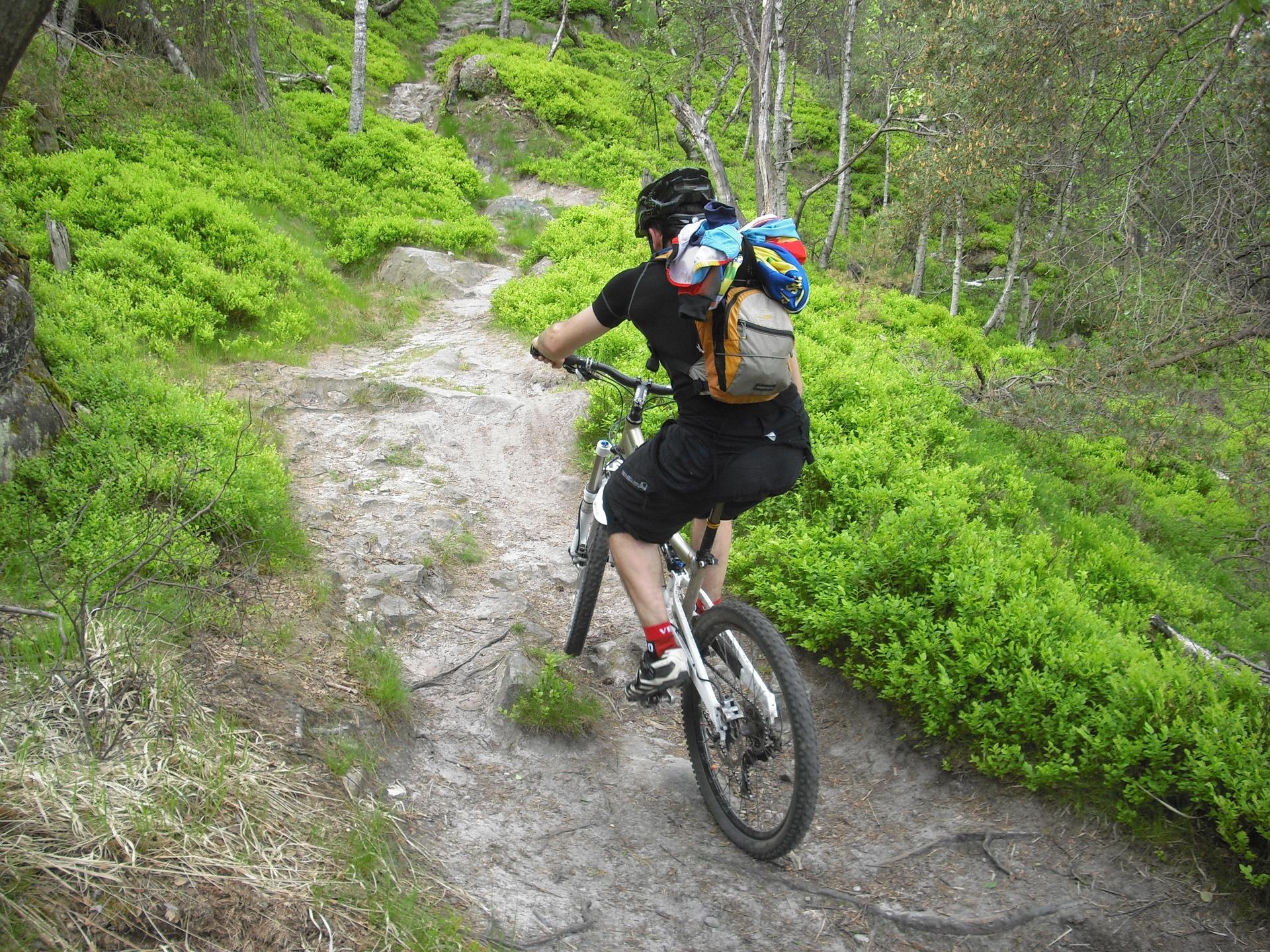 Classical Mountain bike tour in Bohemian Switzerland National Park 