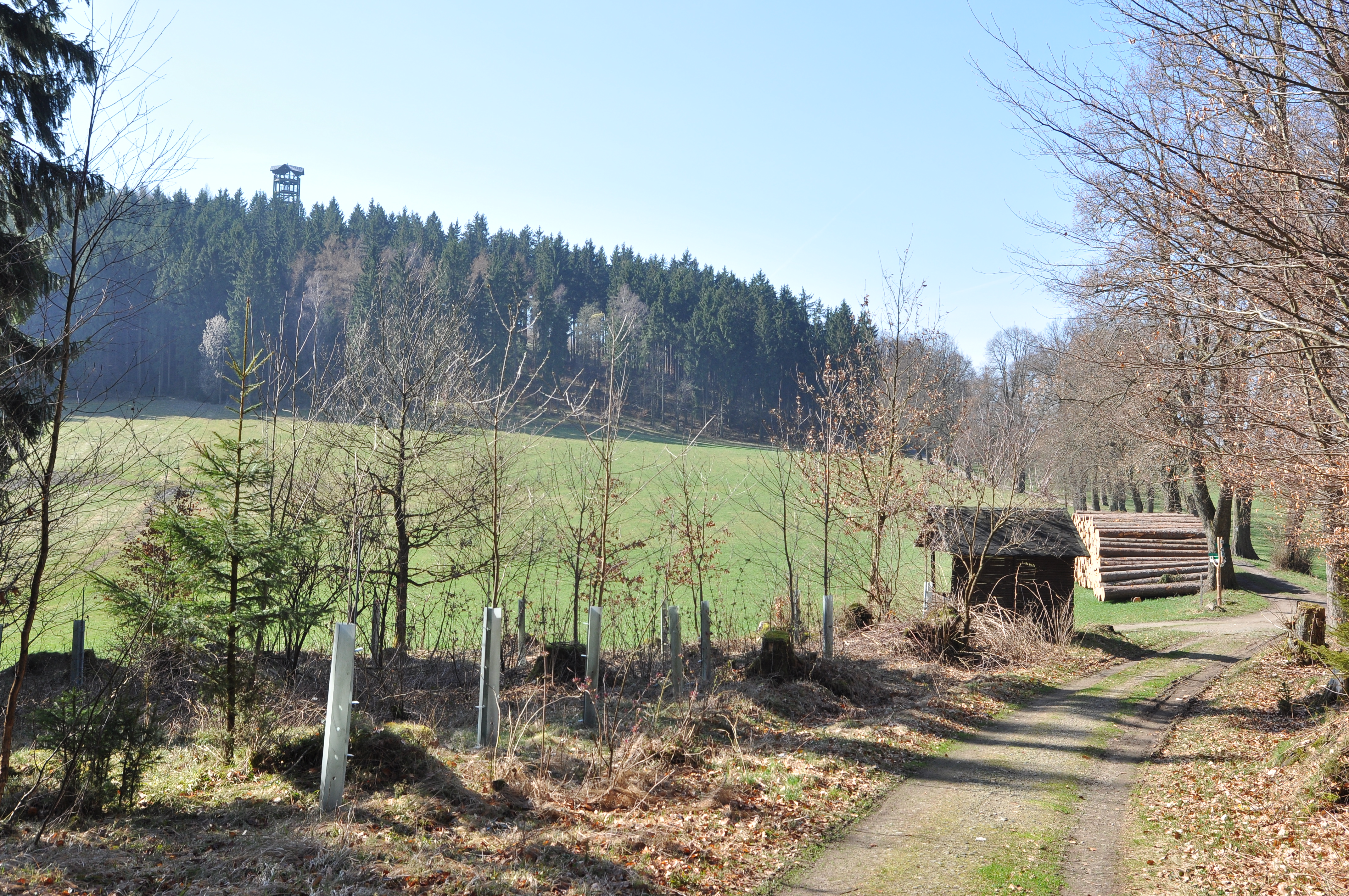 Weifberg (foto: Ivo Šafus)