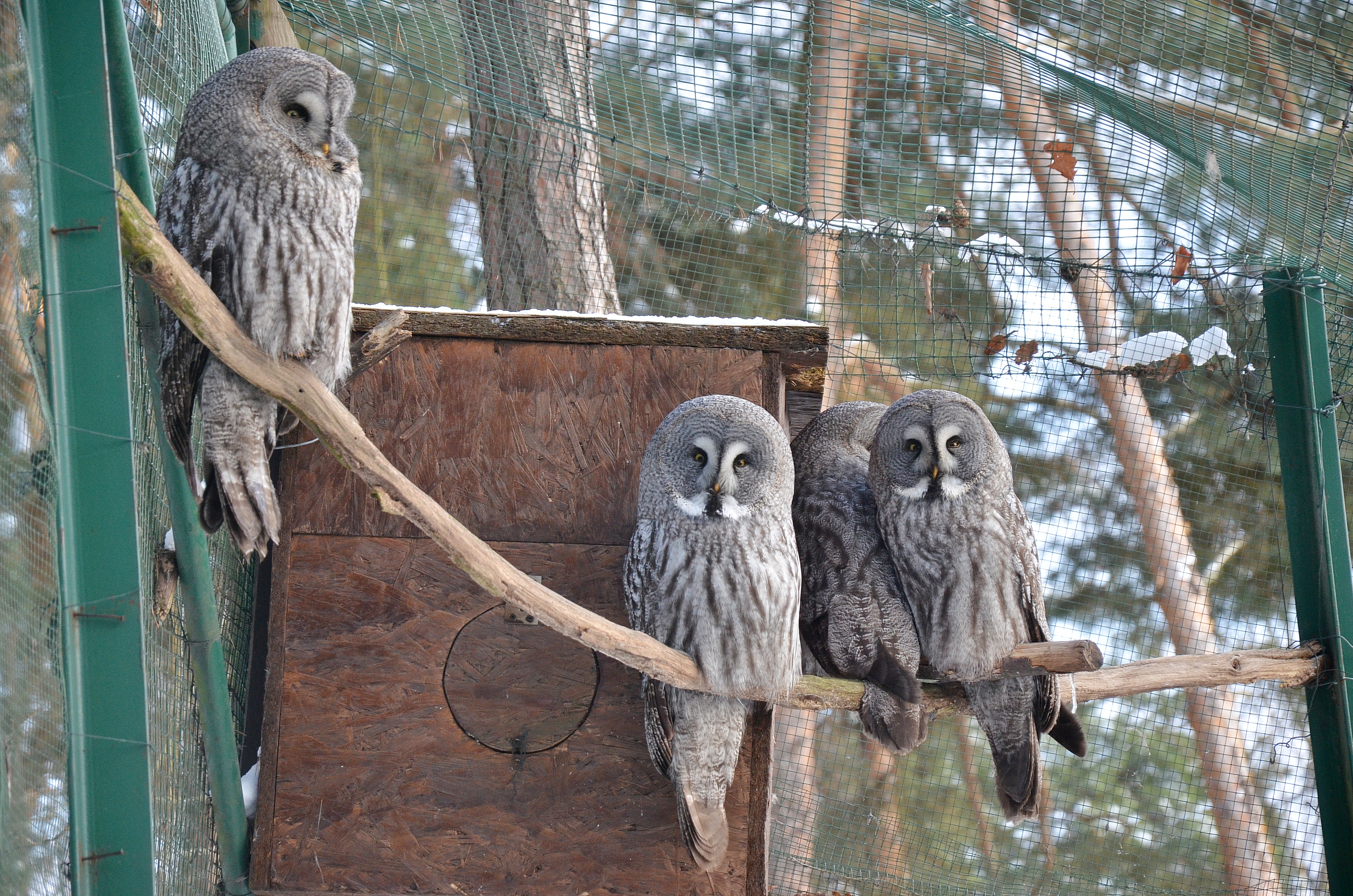 Zoo Děčín