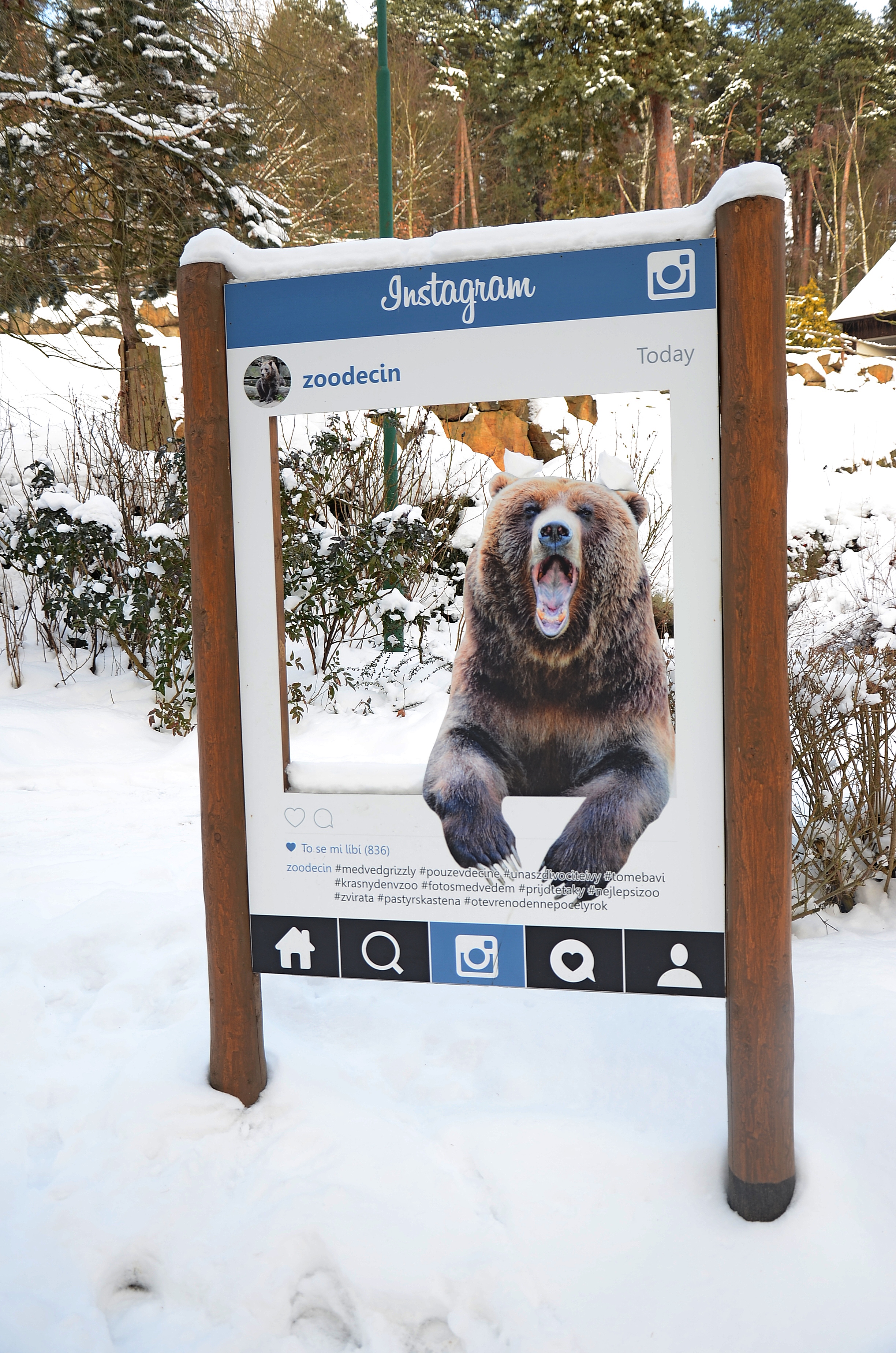 Zoo Děčín