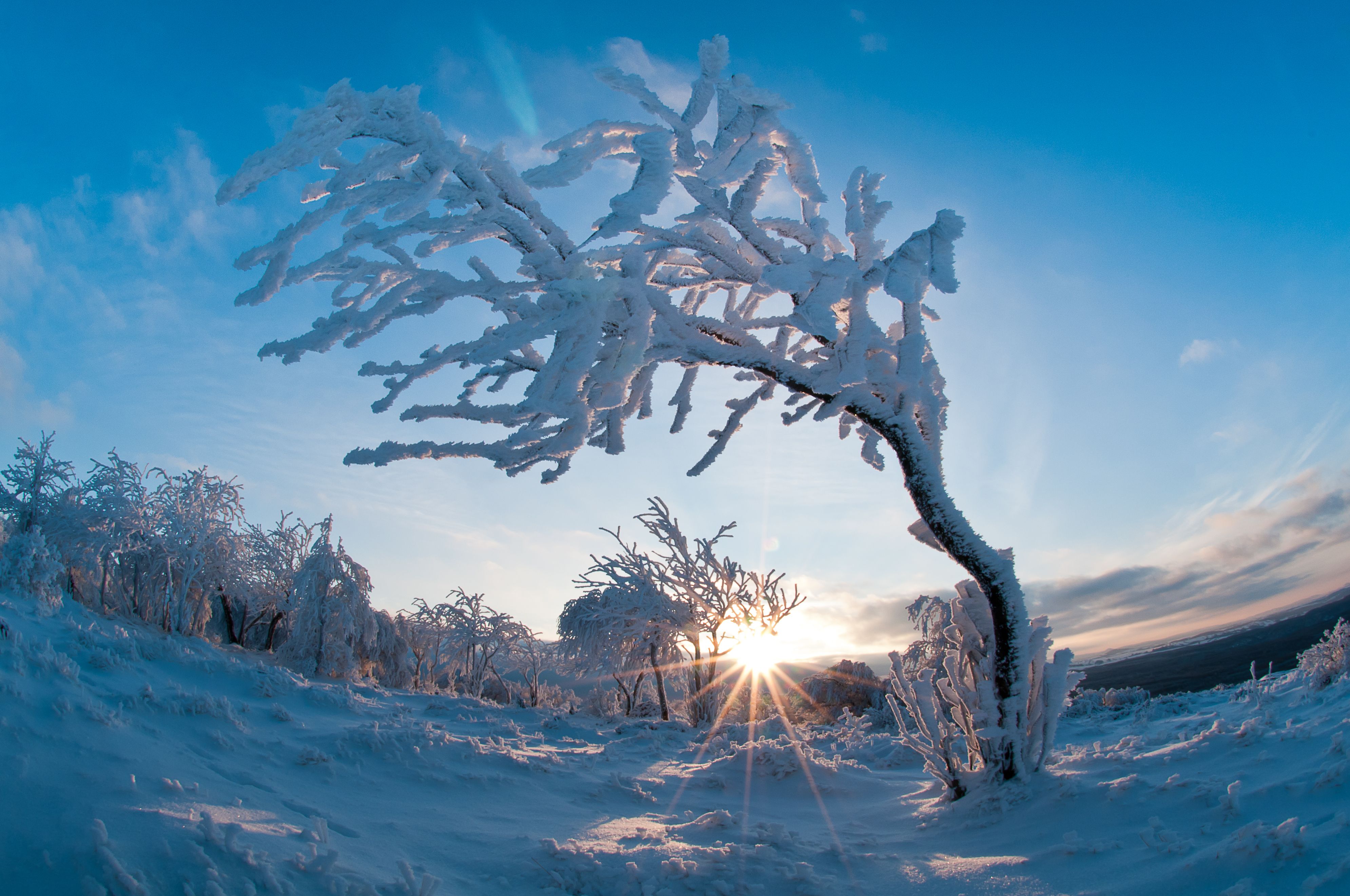 Drážďanská vyhlídka na Děčínském Sněžníku (foto: Petr Jan Juračka)