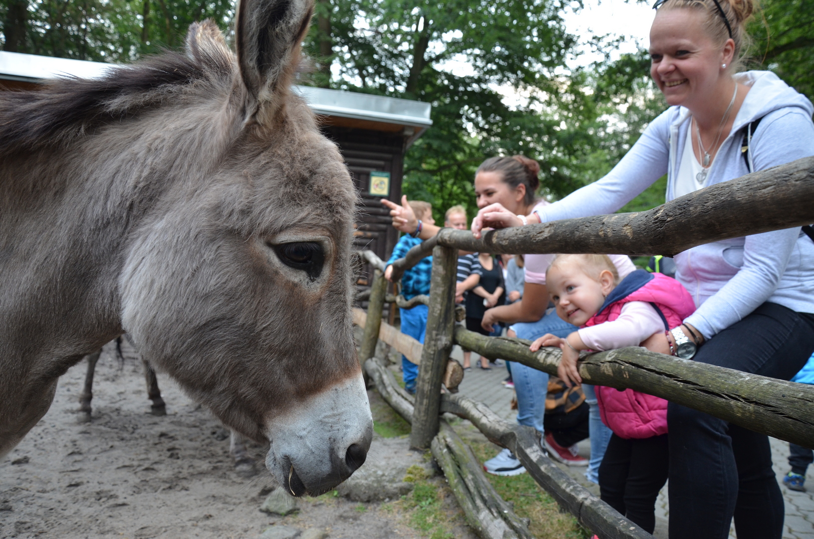 ZOO DĚČÍN