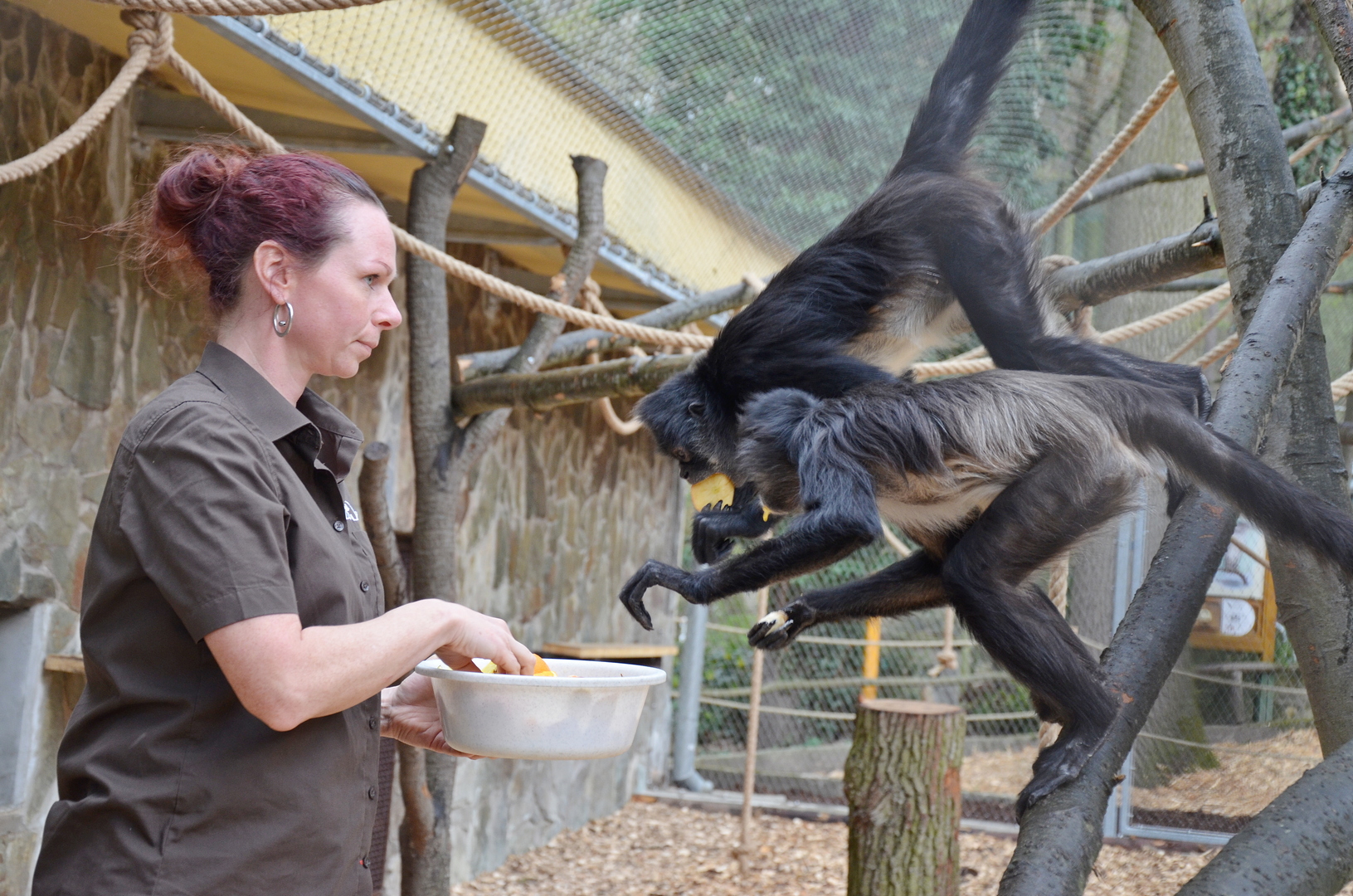 ZOO DĚČÍN