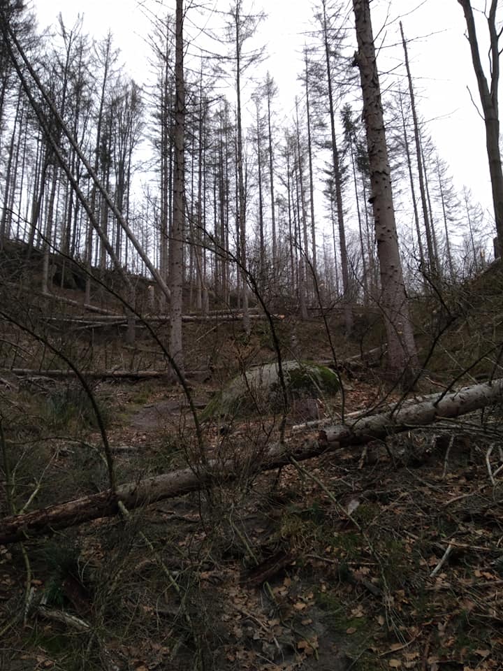 Turistická cesta z Mezní Louky k Malé Pravčické bráně