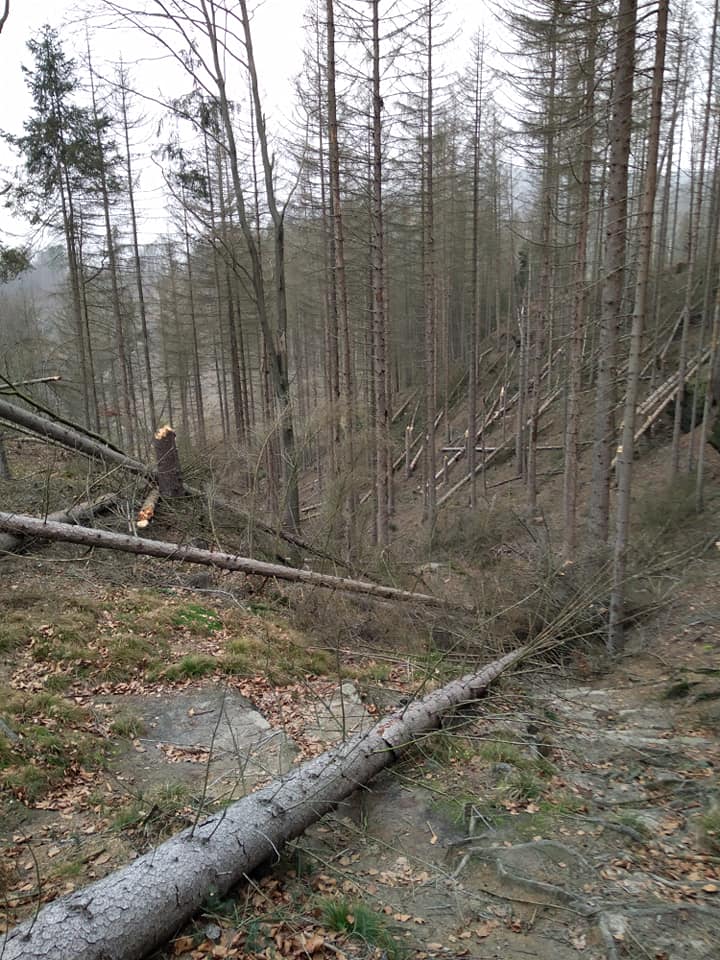 Turistická cesta z Mezní Louky k Malé Pravčické bráně