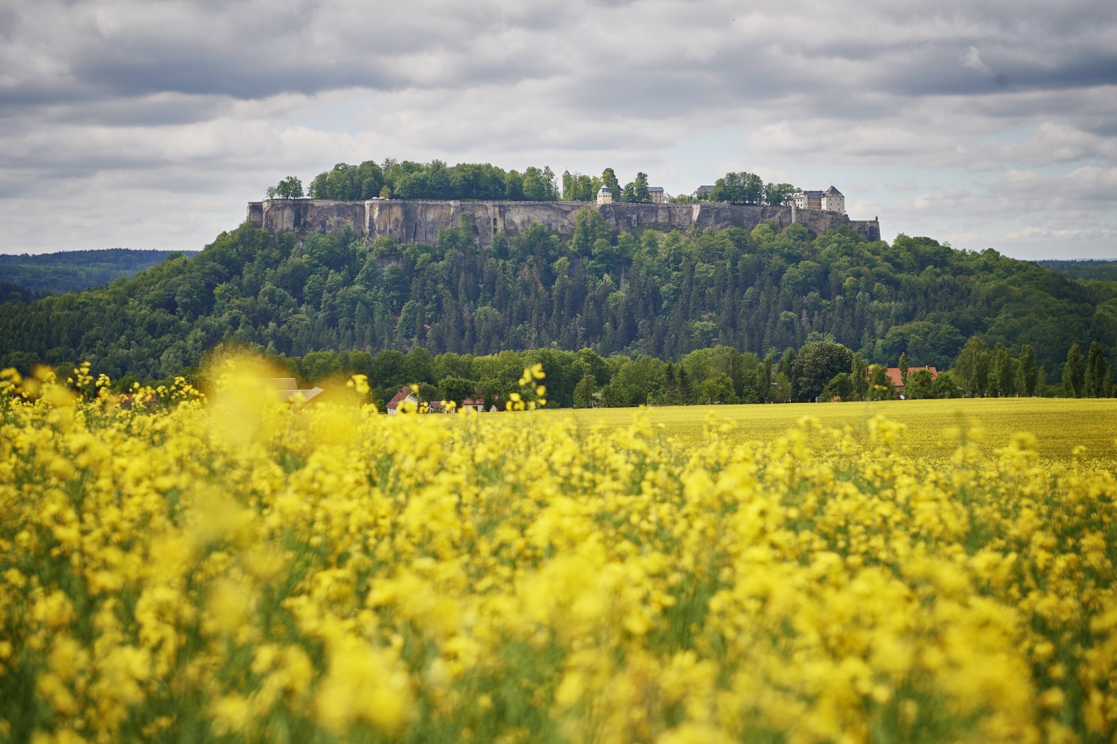 Festung Königstein - Trykowski Florian