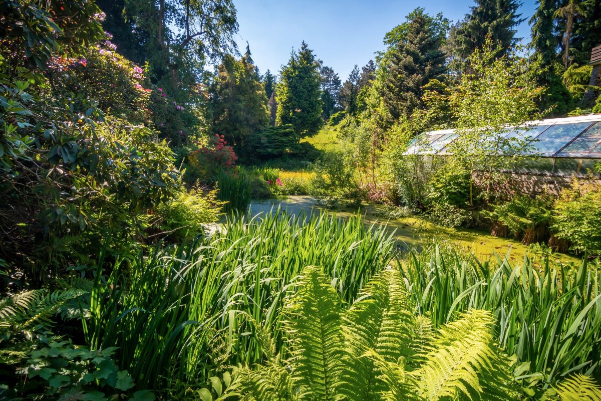 Fritscheho arboretum