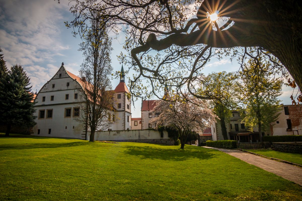 Pohled na Dolní zámek ze zámeckého parku