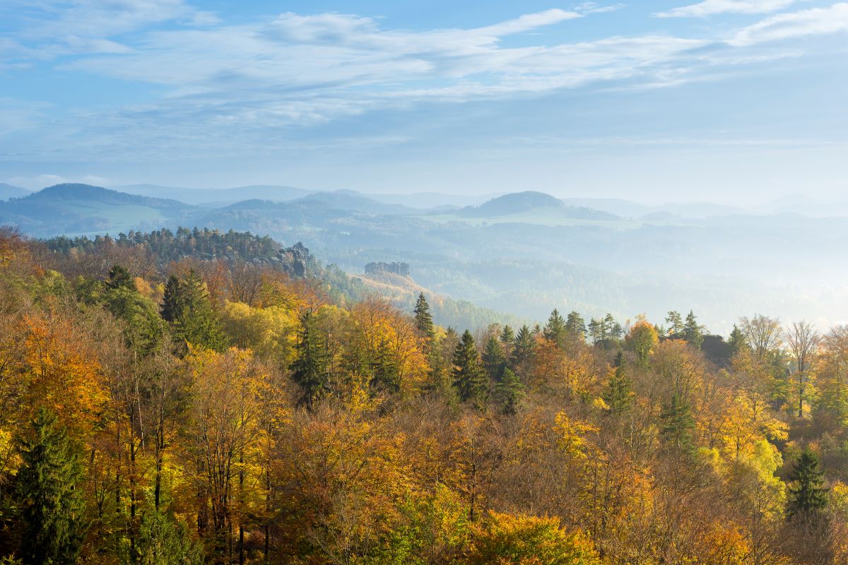 Jetřichovice na podzim