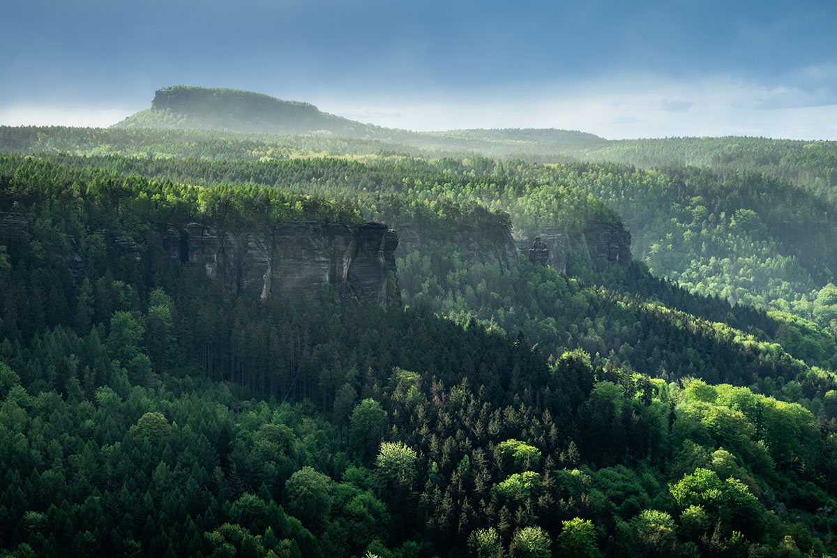 panorama, Plekanec