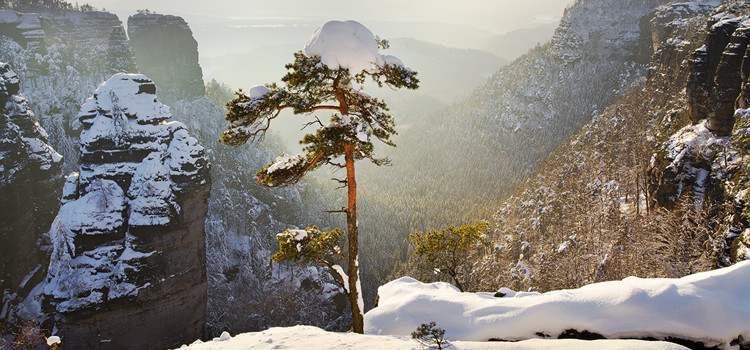 Winter in Bohemian-Saxon Switzerland