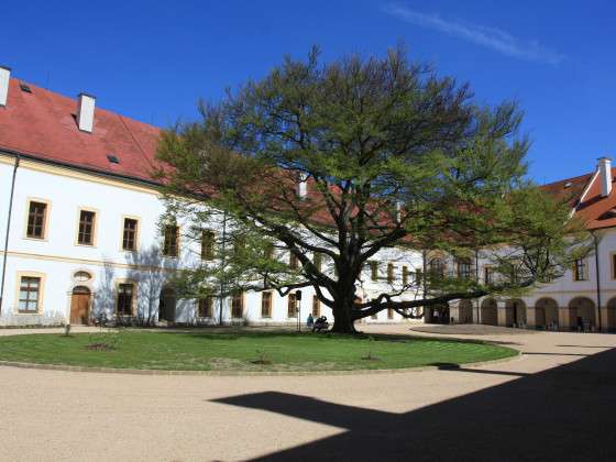 Schloss Děčín