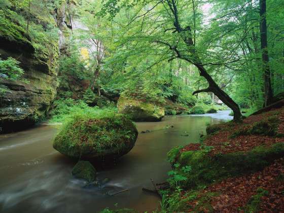 Kamnitzklamm, V. Sojka