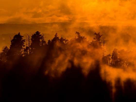 Autor fotografie: Petr Jan Juračka 