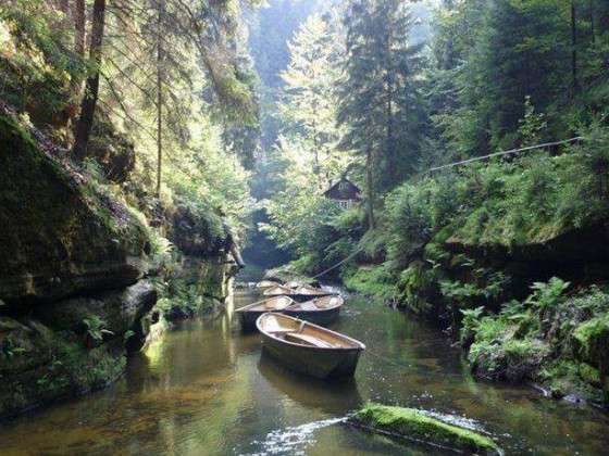 Wilde Klamm