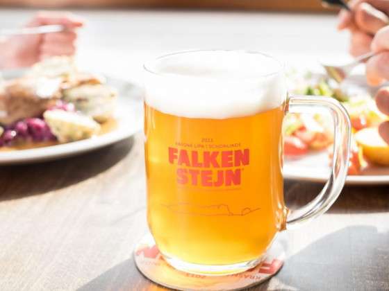 Das Bier Falkenštejn