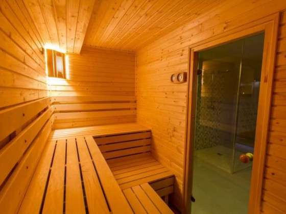 Pension „Balnika“ - Sauna