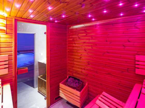 Wellness Hotel Ostrov - Sauna