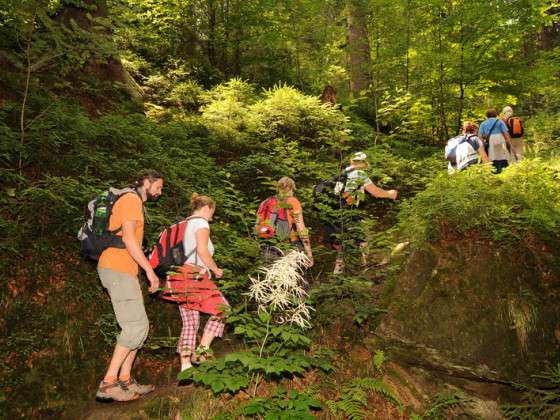 Wanderungen zu den Felsenburgen des Elbsandsteingebirges