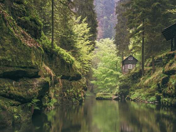 Gorge on Kamenice river