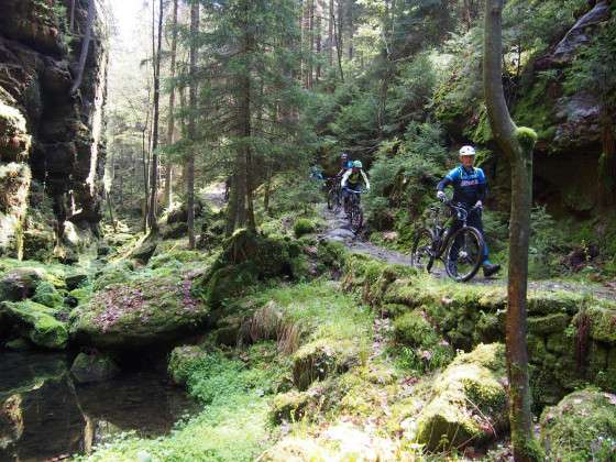 Mountain bike holidays in Bohemian Switzerland National Park 5D/4N 