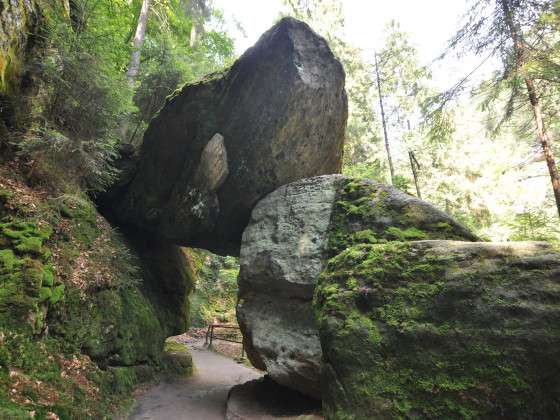 Stezka do soutěsek Kamenice