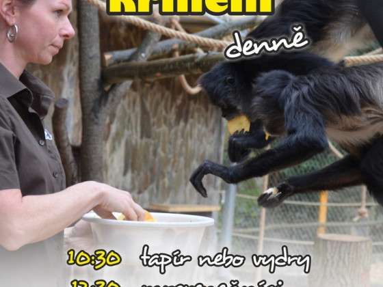 ZOO Děčín 2019 - komentované krmení