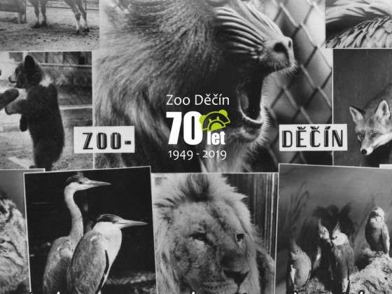 ZOO Děčín 2019 - retrovstupné