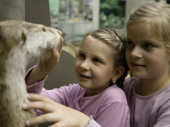 NationalparkZentrum Bad Schandau - expozice národního parku