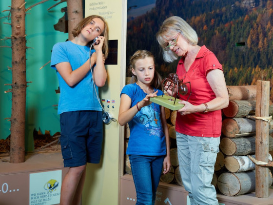 Informační středisko národního parku Saské Švýcarsko - expozice