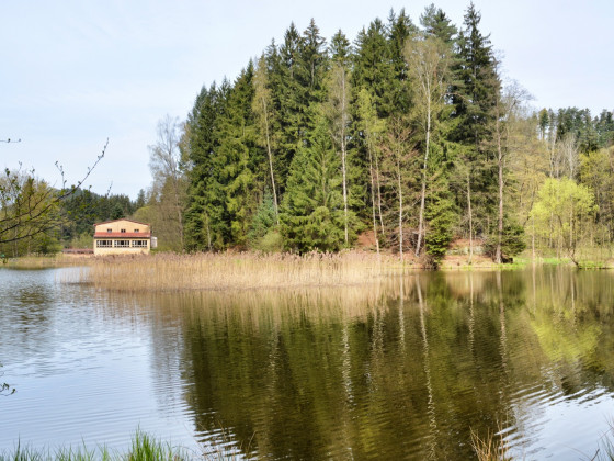 Obchůzkový okruh Pavlínka - mlýn u Grieselova rybníku (foto: Ivo Šafus)