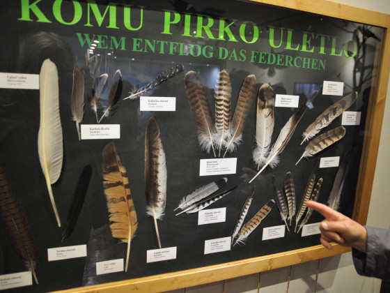 Muzeum Rumburk - expozice (foto: Ivo Šafus)