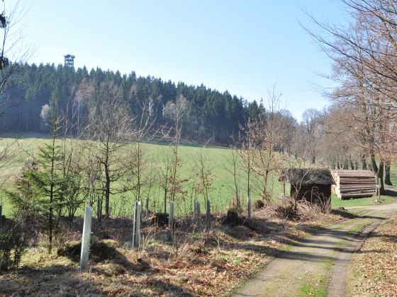 Weifberg (foto: Ivo Šafus)