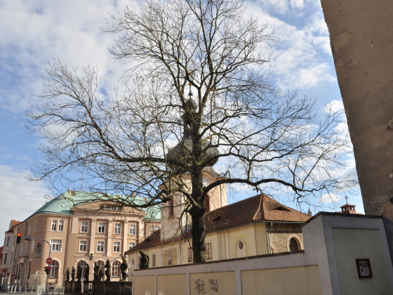 Loreta Rumburk (foto: Ivo Šafus)