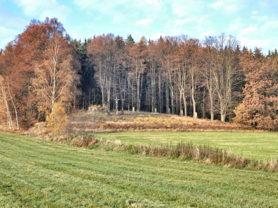 Křížová cesta Velký Šenov (foto: Ivo Šafus)