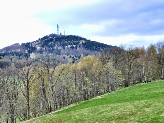 Jedlová (foto: Ivo Šafus)