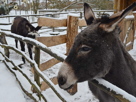 Zoo Děčín