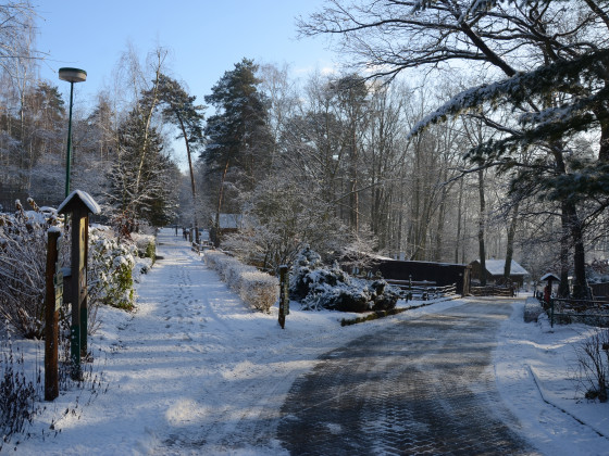 Zoo Děčín