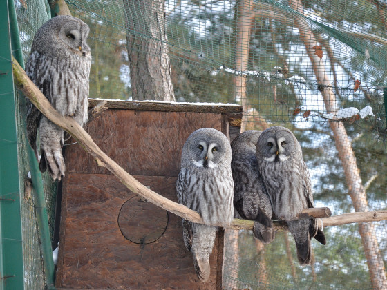 Zoo Děčín