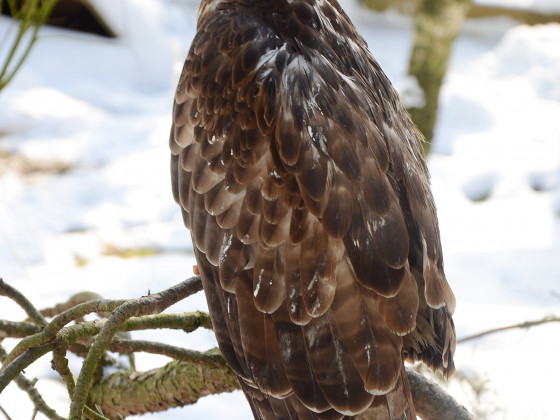 Zoo Děčín