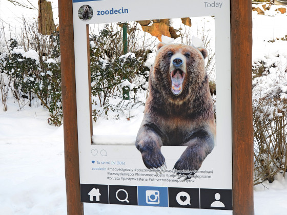 Zoo Děčín