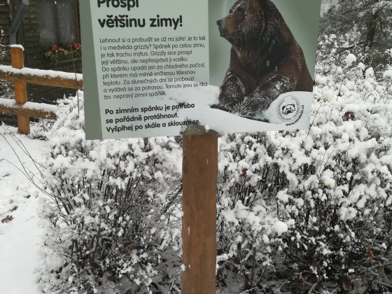 Zoo Děčín