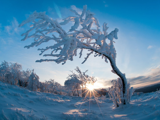 Drážďanská vyhlídka na Děčínském Sněžníku (foto: Petr Jan Juračka)