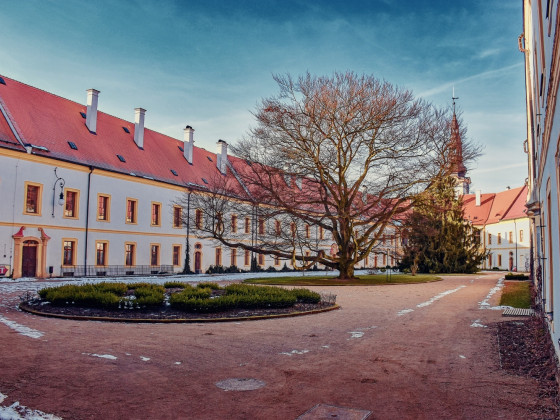 Zámek Děčín (foto: Rostislav Křivánek)